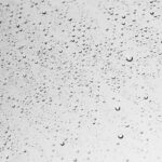 Jak pochłaniacz wilgoci wybrać?